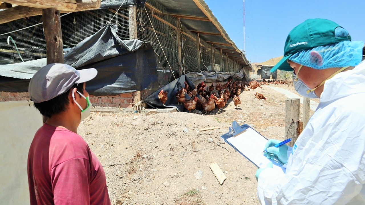Huánuco: MINAGRI y gobiernos locales enfocados en la implementación de mataderos municipales
