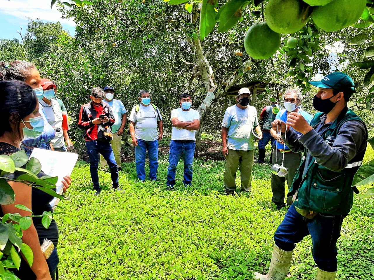 Junín: Comunidades de selva central se benefician con Escuelas de campo