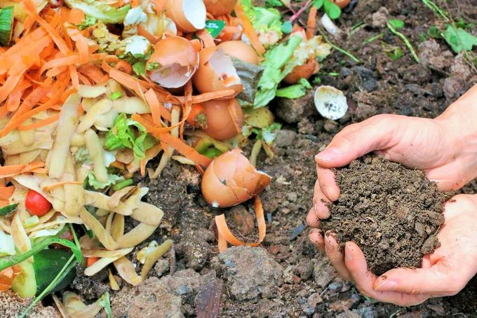 ¿Qué sucede cuando entierras restos de comida en tu jardín?
