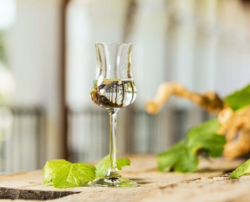 Del brindis a la sartén: El pisco celebra su día demostrando su versatilidad en la cocina y repostería 😋