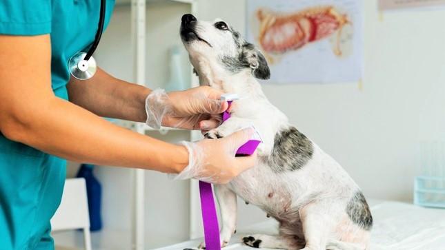 Abren convocatoria para 600 becas de inglés: ¡No te quedes fuera! 👀