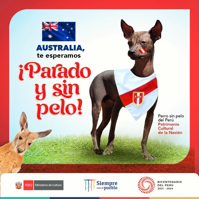 Este 12 de junio se celebra el Día del Perro sin pelo del Perú, Patrimonio Cultural de la Nación