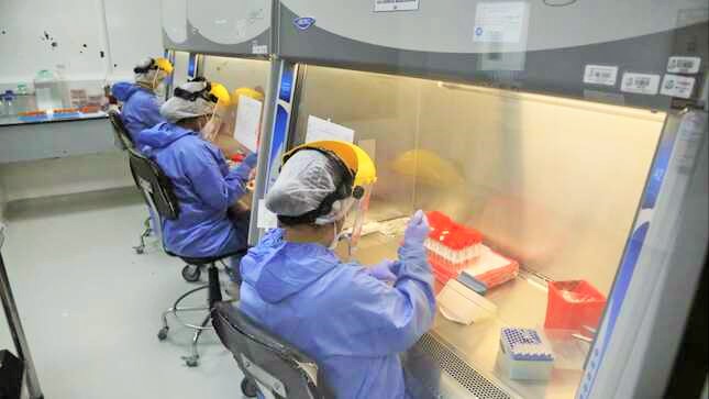 Impulsan la investigación en el país con más de 60 millones de soles 💱