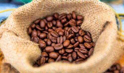 Casi cinco mil inscritos para la “Carrera IPD 5k el Papa es peruano” que reunirá a la familia en el Estadio Nacional 🏃