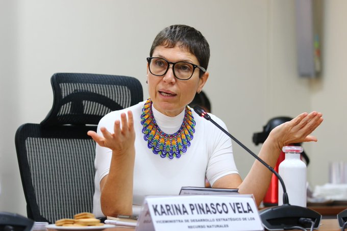 Karina Pinasco beneficia a su ONG familiar Amazónicos por la Amazonía a horas de asumir como viceministra de Desarrollo Estratégico del Minam