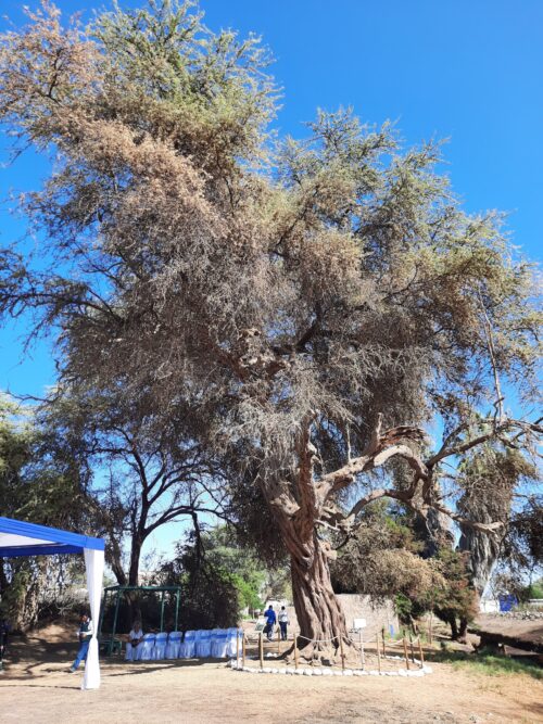 Penales: Menos en lugar de más