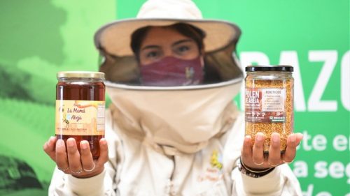 Todo lo que debe saber para adquirir una auténtica miel de abeja 🐝