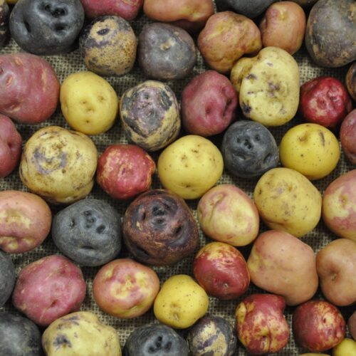 Actividad automotriz crece 5.81% y se consolida como motor clave del comercio y economía peruana 🚗