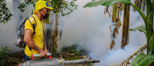 El dengue avanza como amenaza mundial a la salud pública 🔍