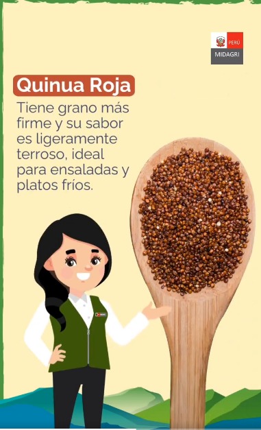🤩  Quinua peruana. Descubre los beneficios y características de este alimento andino (video)
