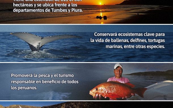 🌿 ¡Conoce más de la nueva Reserva Nacional Mar Tropical de Grau que conservará los valiosos ecosistemas marinos del norte del Perú 🐠🌊