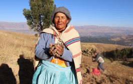 ¡Llega la Feria por el Día Internacional de la Papa 2026!🥔