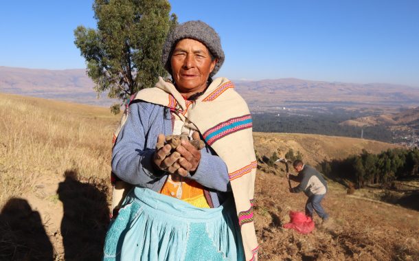 ¡Llega la Feria por el Día Internacional de la Papa 2026!🥔