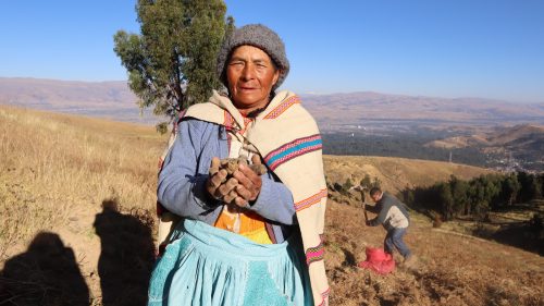 ¡Llega la Feria por el Día Internacional de la Papa 2026!🥔