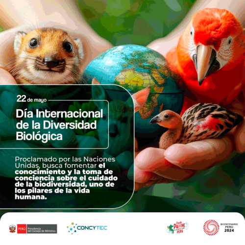 Día de la Diversidad Biológica: Conoce a tres investigadoras peruanas guardianas de la flora y fauna del Perú (video) 🔍
