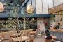 Restaurante Doomo Saltado anuncia la apertura de un nuevo local para el 2025 ¿Dónde será? (video) 🍽️