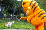 Garfield visitó Miraflores y entregó alimentos para los gatitos del parque Kennedy 😹