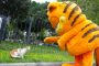 Garfield visitó Miraflores y entregó alimentos para los gatitos del parque Kennedy 😹