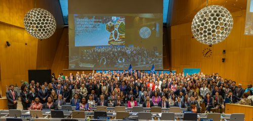 Perú adopta histórico tratado sobre recursos genéticos y conocimientos tradicionales en el sistema de patentes 🔍
