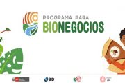 Programa para Bionegocios se amplía a cinco regiones amazónicas 🌱