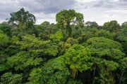 ¡Hoy se celebra el Día Mundial del Medio Ambiente! 🌱