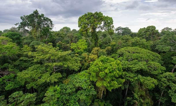 ¡Hoy se celebra el Día Mundial del Medio Ambiente! 🌱