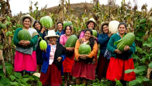 Instituyen “Reconocimiento Héroes del Campo” para distinguir a personalidades del sector agrario en todas las regiones del país 👩‍🌾