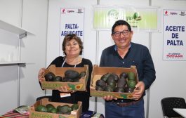 Convocan a productores andinos a cerrar negocios con compradores internacionales en la “Expo Perú Los Andes 2026” 💵
