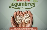¡Hoy se celebra el Día Nacional de las Legumbres! 🫘