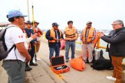 Trabajo multisectorial logra liberación de cría de ballena atrapada por redes de pesca en Tumbes 🐋
