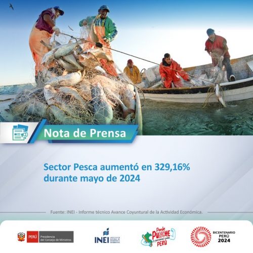 Sector Pesca aumentó en 329,16% durante mayo de 2024 🎣