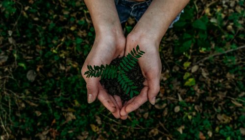 Implementarán programa regional de educación ambiental en Huánuco 🌱