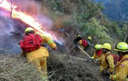 46 millones de metros cúbicos sin aprovechar: cómo la biomasa forestal puede frenar los megaincendios  👀