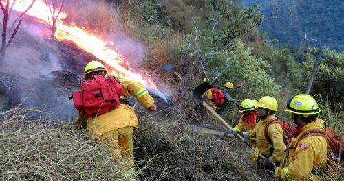 46 millones de metros cúbicos sin aprovechar: cómo la biomasa forestal puede frenar los megaincendios  👀