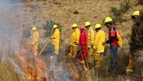 Aplicarán modernas técnicas de intervención para frenar incendios forestales 👩‍🚒