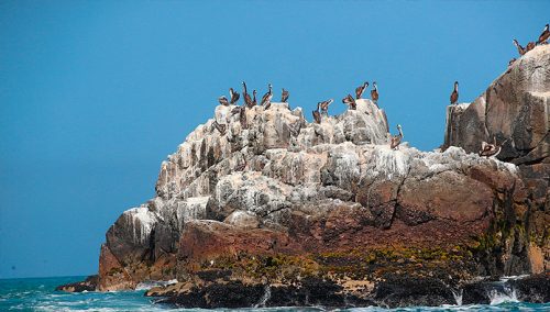 Concretan la incorporación del Perú a la Alianza Global de Cuentas Oceánicas (GOAP) 🔍