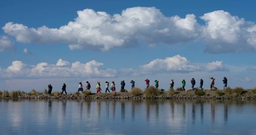 COP 15: Perú impulsa iniciativa regional sobre conservación y uso sostenible de humedales altoandinos 🌱
