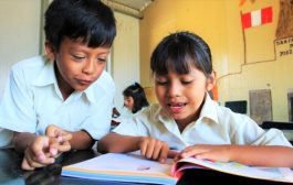La educación, las teorías, las políticas y las soluciones (videocolumna)