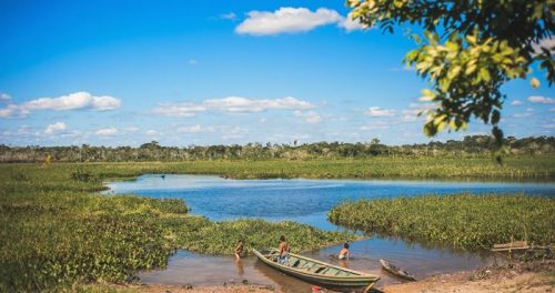Políticas públicas ambientales se diseñan con información transparente y confiable 🔍