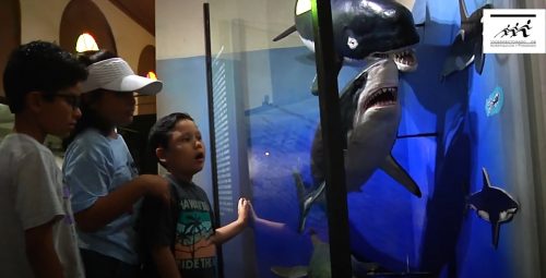 🔰 #MHN  ¡Celebremos el 107° aniversario del Museo de Historia Natural! 🥳🌿