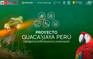 Minam y Microsoft lanzan proyecto para monitorear ecosistemas usando inteligencia artificial 💻