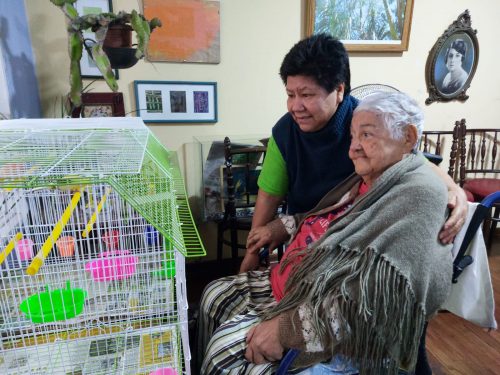 Día del Trabajador: Solo el 10% de las trabajadoras del hogar tiene contrato escrito y el 95% no recibió CTS 🔍