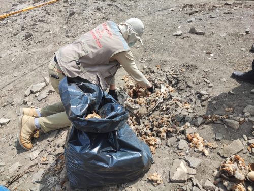 Recuperan 43 bienes arqueológicos de más de cinco siglos de antigüedad en Puente Piedra 👏