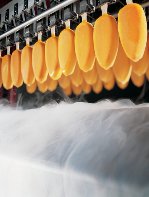 El futuro del helado: Innovación y tecnología para un mercado en crecimiento 🍧🍨