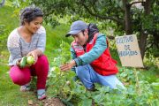 Lanzan la Expo Forestal Perú 2026🌳