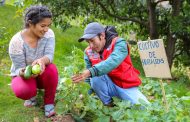 Lanzan la Expo Forestal Perú 2026🌳