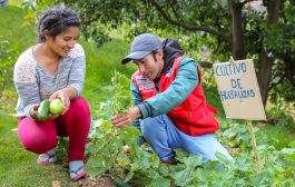 Lanzan la Expo Forestal Perú 2026🌳