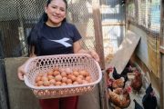 ¡Hoy es el Día Nacional del Cuy y el Día Mundial del Huevo! 🥚
