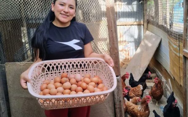 ¡Hoy es el Día Nacional del Cuy y el Día Mundial del Huevo! 🥚
