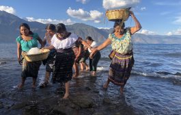 3 490 435 mujeres se identifican como indígenas en el país 🔍